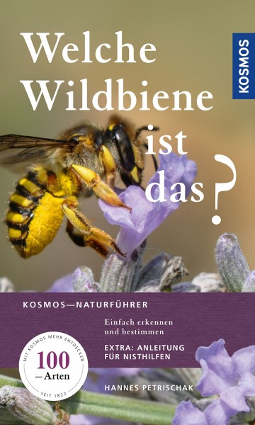 Welche Wildbiene ist das? Einfach erkennen und bestimmen, Extra: Anleitung für Nisthilfen - Hannes P